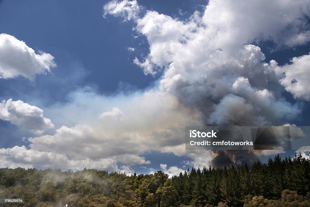 Incendio boschivo il Wai-o-Tapu area geotermica - Foto stock royalty-free di Nuova Zelanda