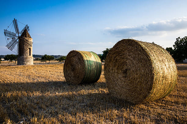istock Bales of hay on a field 178525231