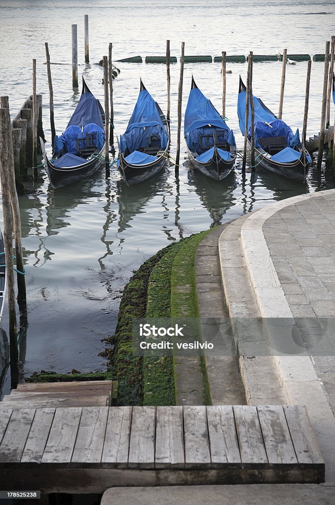 Weneckie wybrzeże - Zbiór zdjęć royalty-free (Bez ludzi)