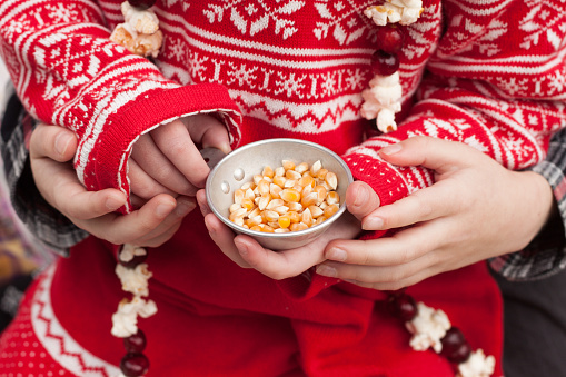 A young girl dressed in a holiday sweater dress is holding a silver measuring cup of popcorn kernels.  She has a string of popcorn and cranberries strung around her neck.  A small boy dressed in a red and black plaid shirt has his arms wrapped around her helping her hold the cup.