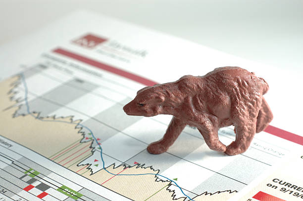 istock Bear Stock Market 178525906