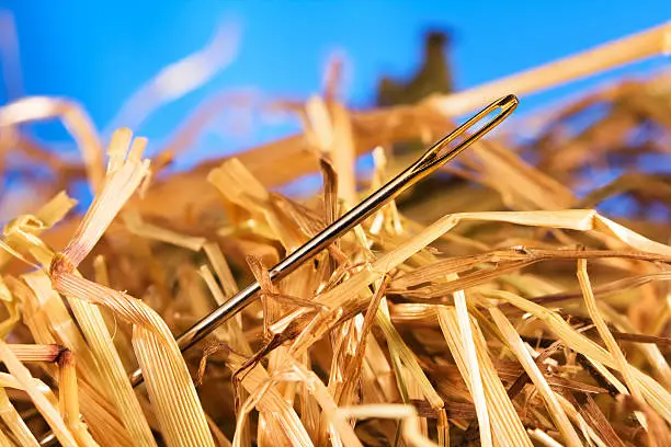 Close-up of a needle in a hay