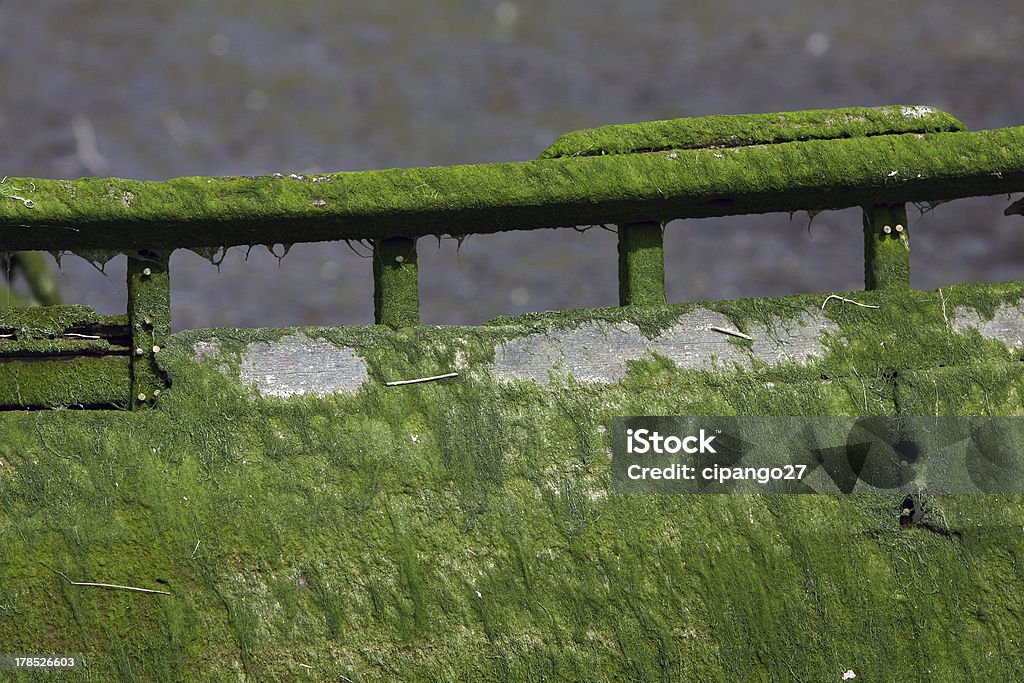 Bateau recouverte d'algues - Photo de A l'abandon libre de droits
