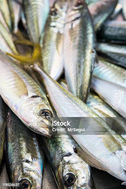 Spanische Makrele Stockfoto und mehr Bilder von Abnehmen - Abnehmen, Andalusien, Argwohn