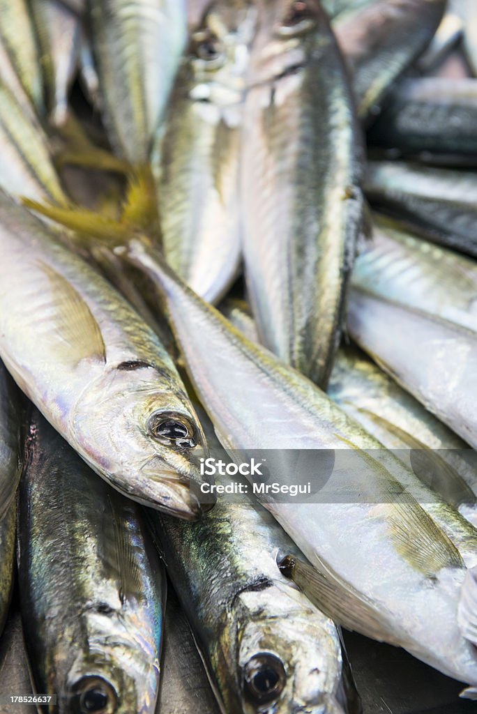 스페인 고등어류 - 로열티 프리 건강한 식생활 스톡 사진