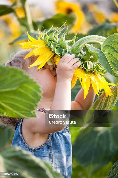 Spring Feeling Stock Photo - Download Image Now - Sunflower, Child, Girls