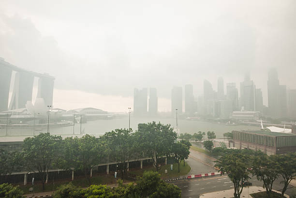 열대 우림 폭풍 싱가포르 - fog singapore storm rain 뉴스 사진 이미지