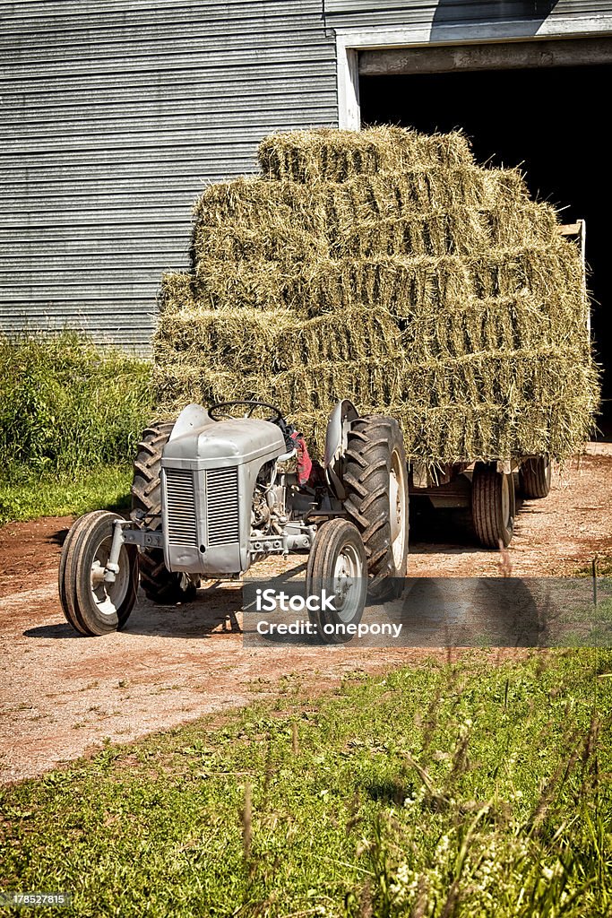 Vintage Tractor Vintage tractor hauling a wagon load of hay bales. Agricultural Machinery Stock Photo
