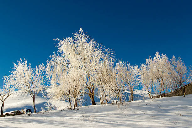 Inverno - foto stock