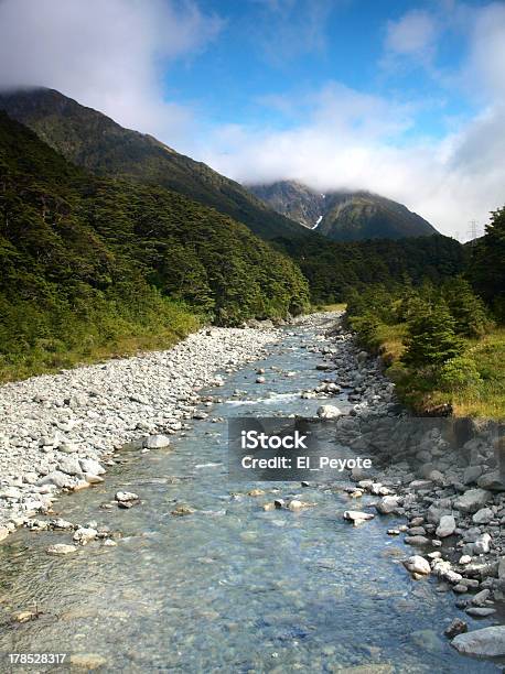 Ruscello Al Parco Nazionale Di Fiordland Nuova Zelanda - Fotografie stock e altre immagini di Acqua