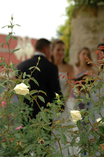 The view of Marriage stock photo