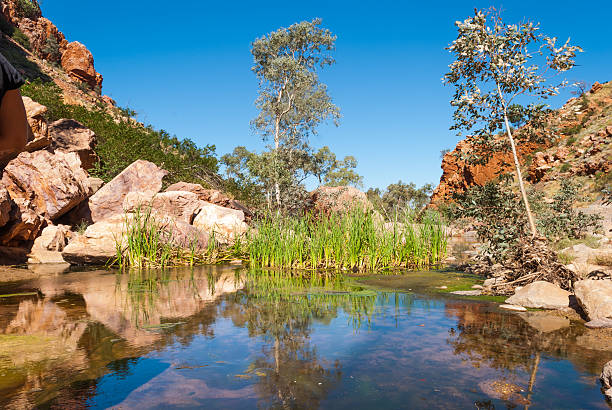 istock Simpsons Gap, MacDonnell Ranges, Australia 178528597