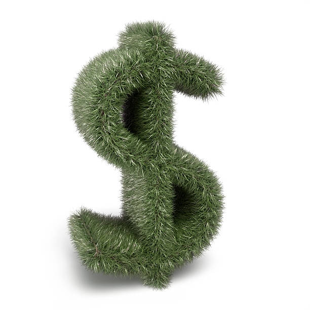 istock Go green Dollar sign on white 178528847
