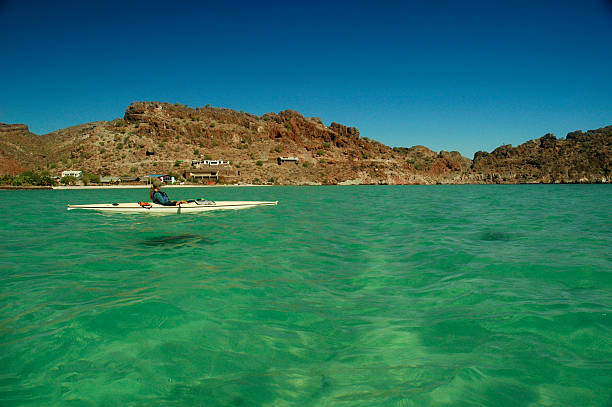 Baja Kayaker stock photo