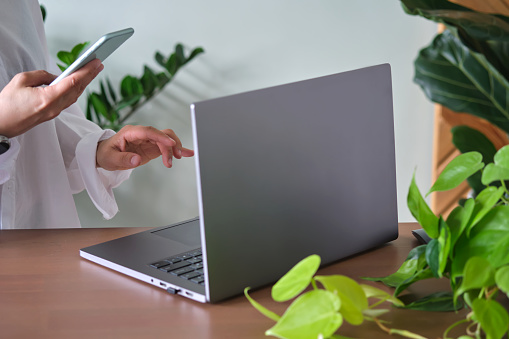Women's hands at a laptop against a background of greenery on the table.