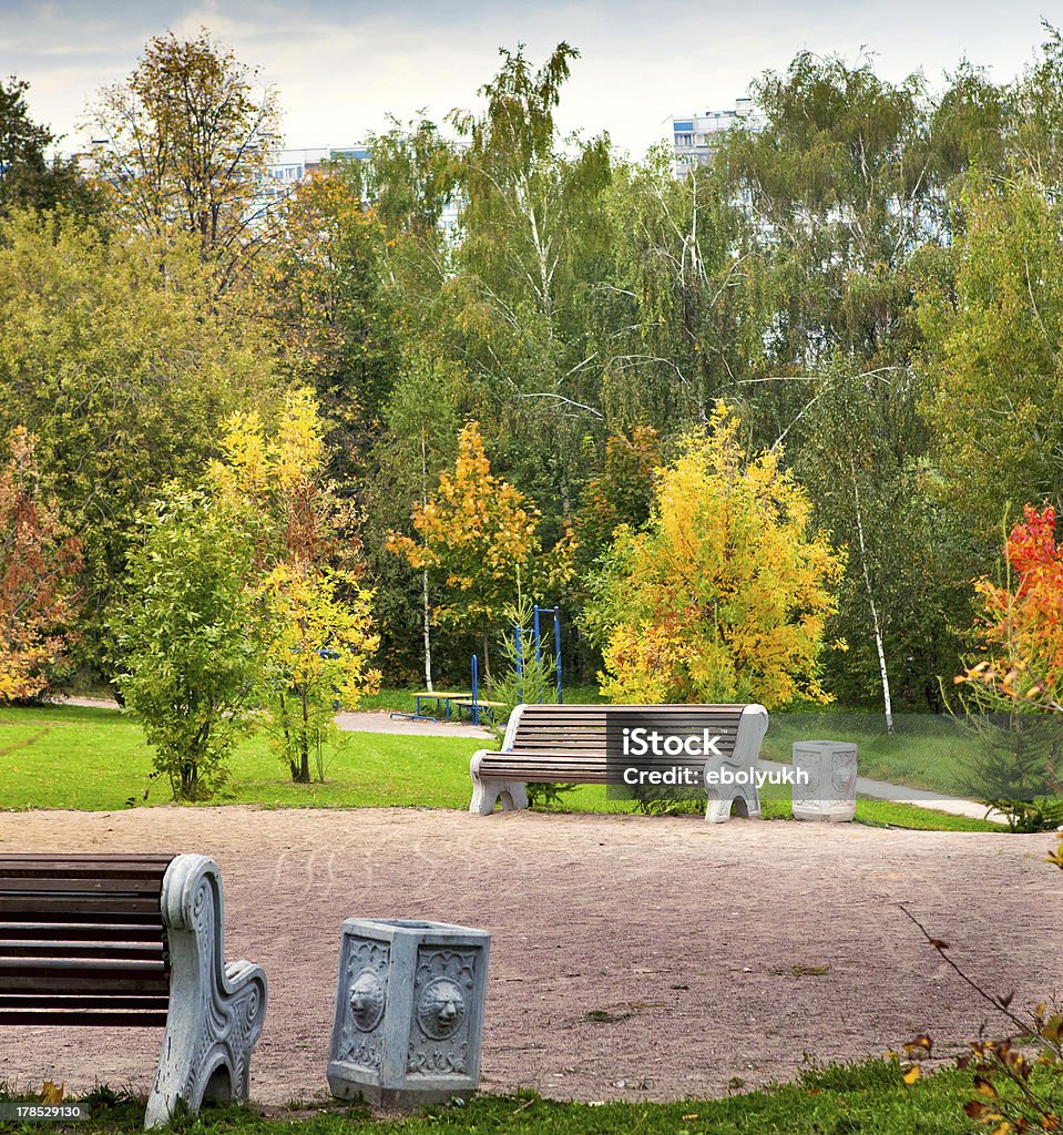 Hermosa en otoño parque - Foto de stock de Aire libre libre de derechos