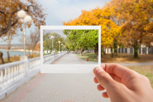 Holding Instant photo on a autumn background.