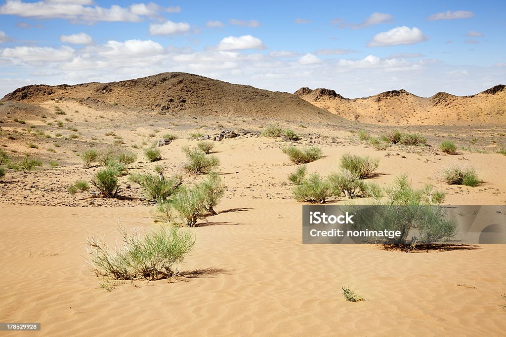 솔리튜드 사막 - 로열티 프리 0명 스톡 사진