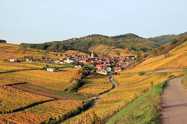 Niedermorschwihr and Alsatian vineyard