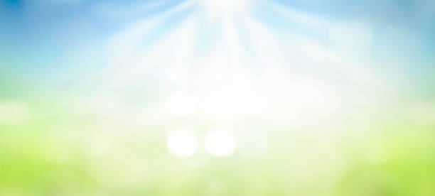 istock world environment day concept, Beautiful spring blur green nature with bokeh sun light flare and blue sky white cloud abstract background. 1785304612