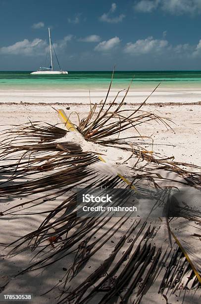 Catamarán Y Hoja De Palmera En Cayo Blanco Cuba Foto de stock y más banco de imágenes de Agua - Agua, Aire libre, Antillas