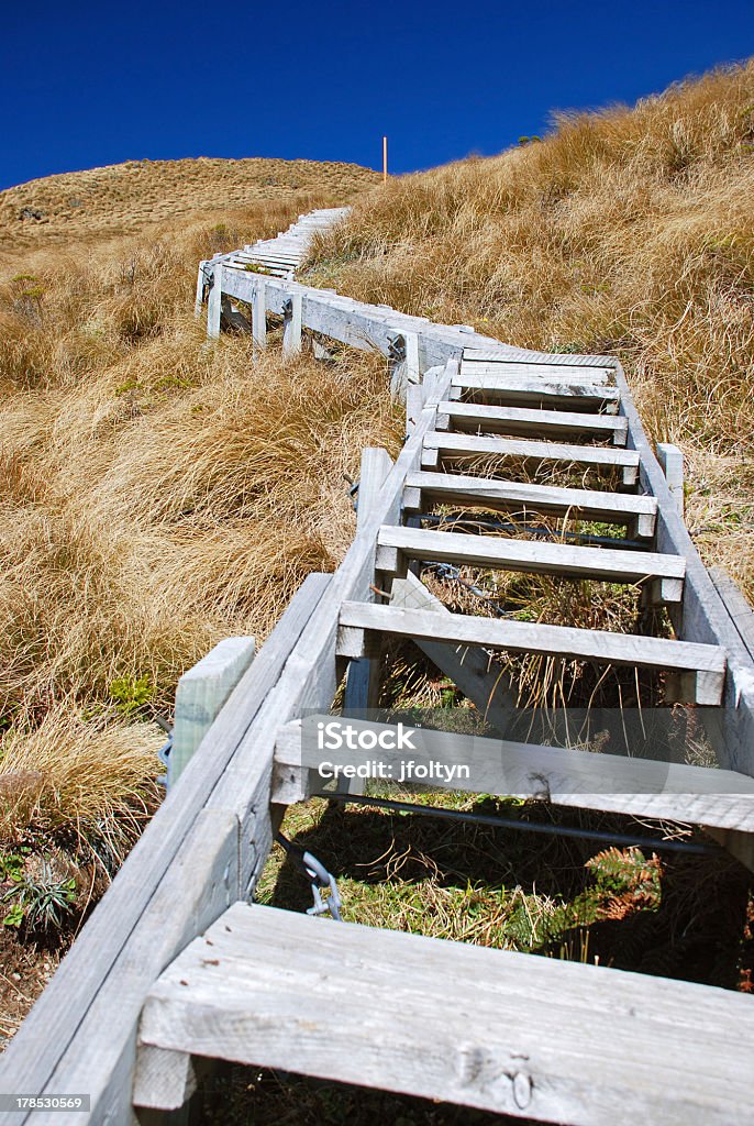 Fasi di legno fino alla collina - Foto stock royalty-free di Accattone