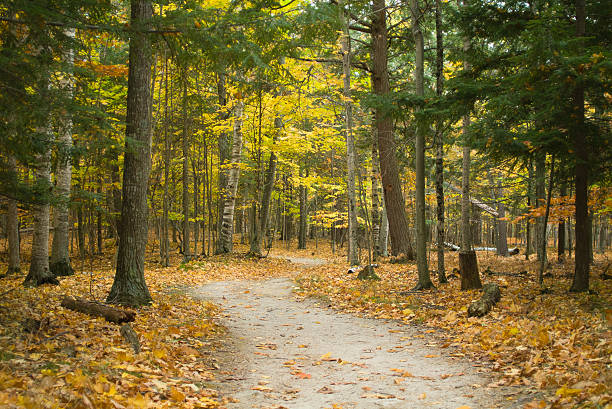Winding Forest Trail at Potawatomi State Park