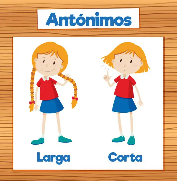 Vector illustration of Spanish Antonym Word Card: Nuevo and Viejo means new and old