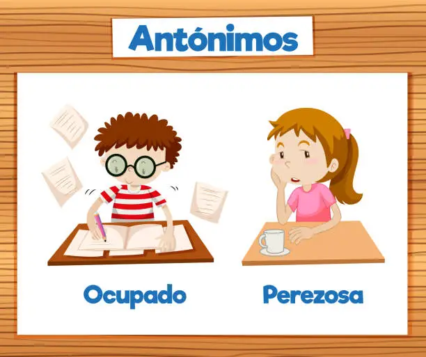 Vector illustration of Spanish Language Education: Busy and Lazy Cartoon Illustration