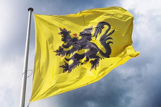 Flag of Flanders Flag of Flanders (part of Belgium) waving against a dramatic cloudy sky benelux stock pictures, royalty-free photos & images