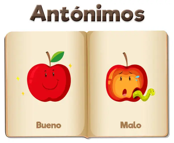 Vector illustration of Spanish Language Word Card: Bueno and Malo Antonyms means good and bad