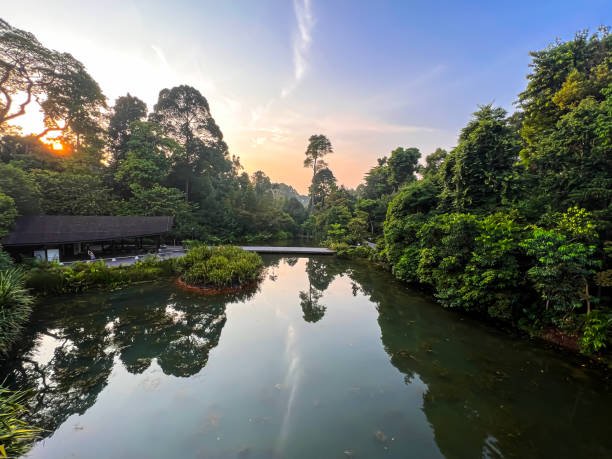 istock Trees reflected on the small lake in a city park 1785321750