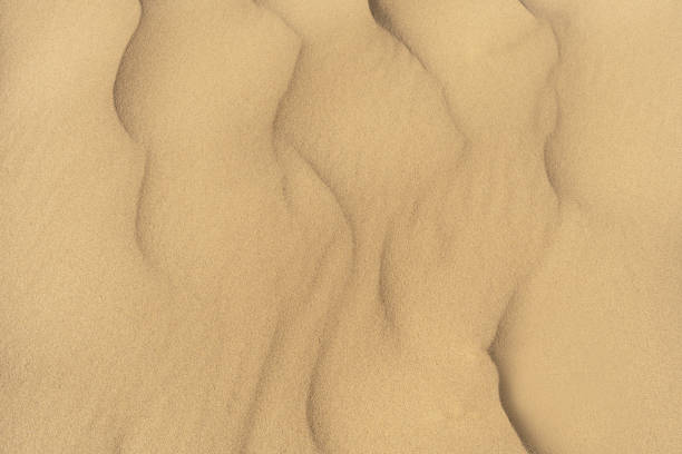 An enchanting canvas of yellow sand, setting a serene ambiance backdrop.