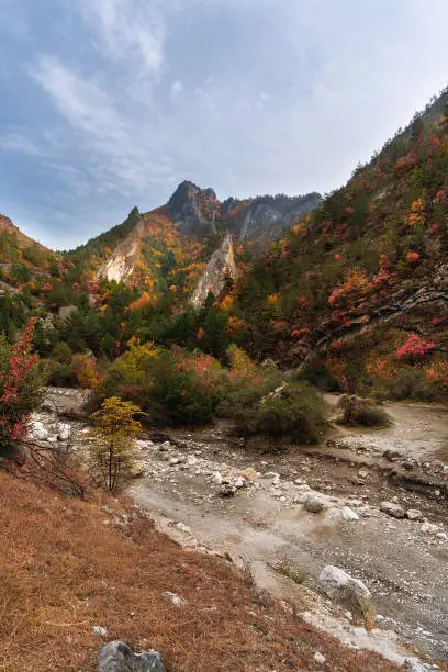 Enchanting autumn landscape in the mountains, with trees ablaze in shades of red and yellow. Sense of warmth and tranquility.