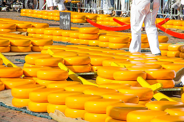 치즈마켓 in 알크마르, the netherlands - alkmaar cheese market 뉴스 사진 이미지