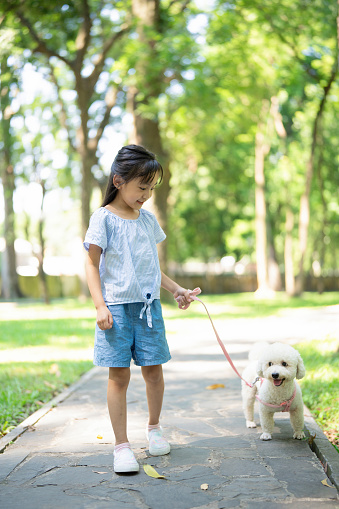Photo of Asian kid walking with dog at park