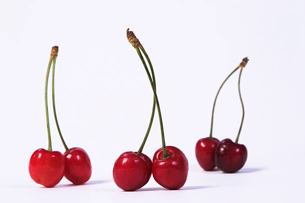 Red cherries stock photo