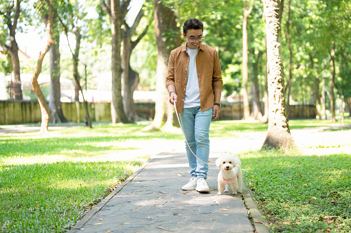 Photo of young Asian man with his dog