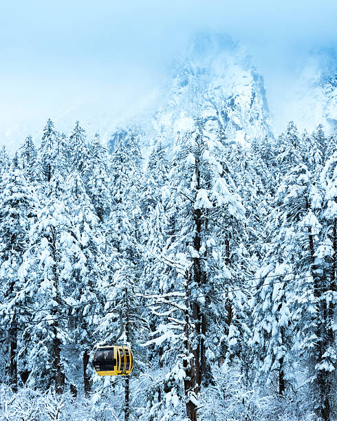 istock snow scene of forest 178534375