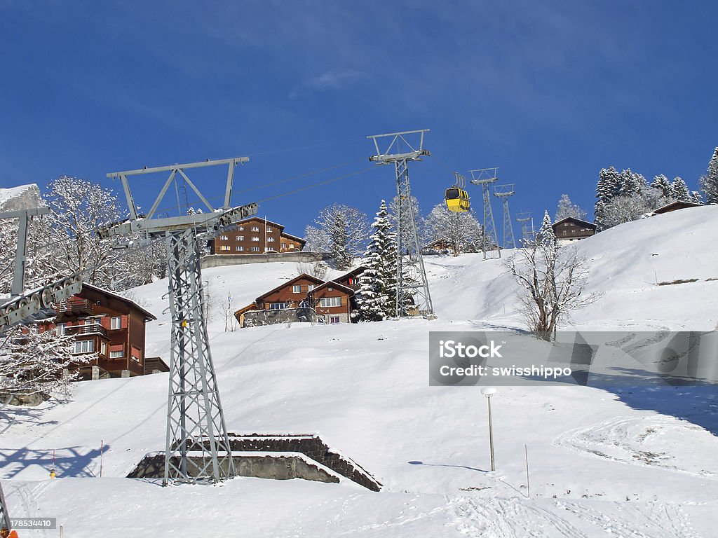 Inverno in Alpi - Foto stock royalty-free di Albero