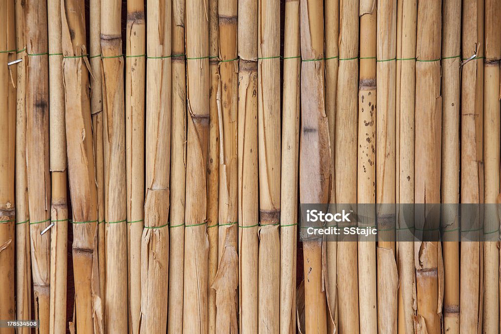 Textura de bambu - Foto de stock de Abstrato royalty-free