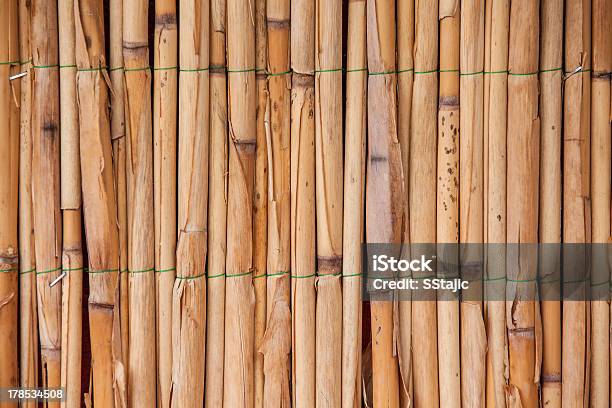 Foto de Textura De Bambu e mais fotos de stock de Abstrato - Abstrato, Agricultura, Amarelo