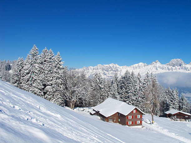 istock Winter holiday house 178535502