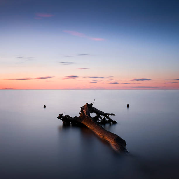 istock Driftwood and Kiev reservoir at sunset 178535529