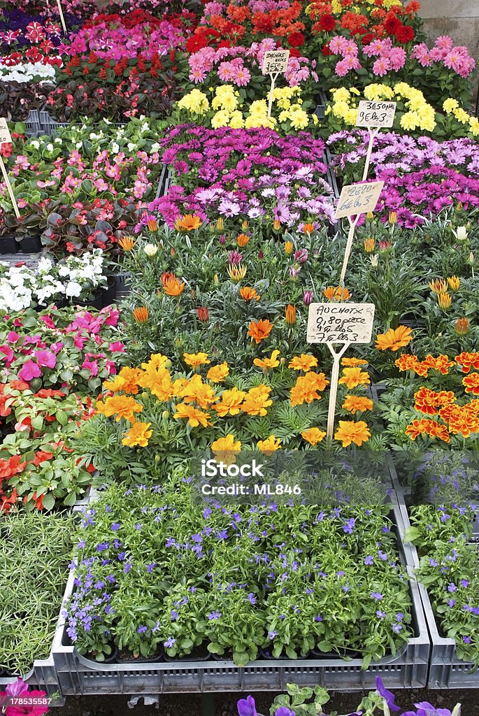 foire aux fleurs de Richerenches - Foto de stock de Barraca de Mercado royalty-free