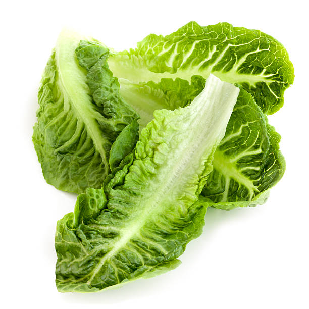istock Romaine Lettuce Leaves Isolated 178535952