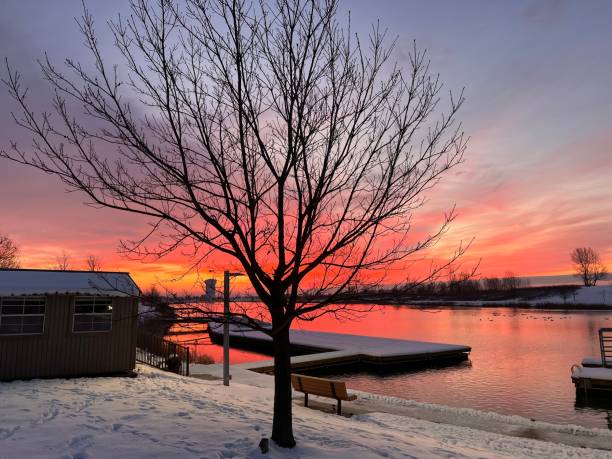 scène pittoresque de coucher de soleil mettant en vedette un lac tranquille avec un arbre sans feuilles sur la rive - tranquil scene tree sunset snow photos et images de collection