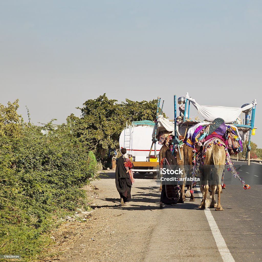 Wielbłąd Pociąg na Ahmedabad Road - Zbiór zdjęć royalty-free (Asfalt)
