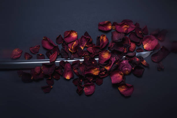 Rose on tombstone. Red rose on grave. Love - loss. Flower on memorial stone close up. Tragedy and sorrow for the loss of a loved one. Memory. Gravestone with withered rose