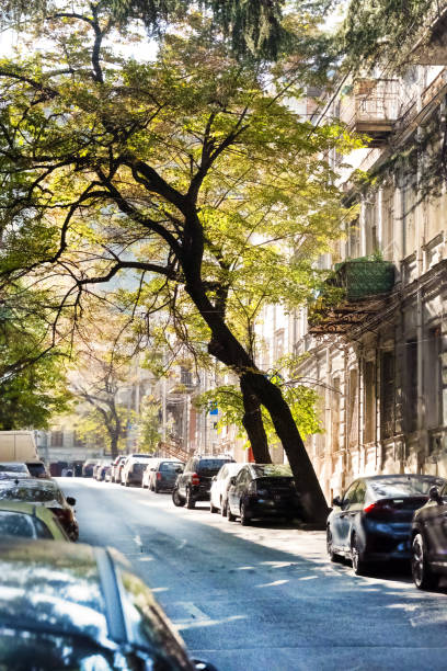 istock autumn street in Tbilisi 1785377574